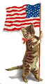 Flagcat-usa2.jpg (7257 Byte)